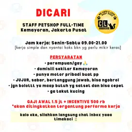 LOWONGAN KERJA LOKER STAFF TOKO PETSHOP