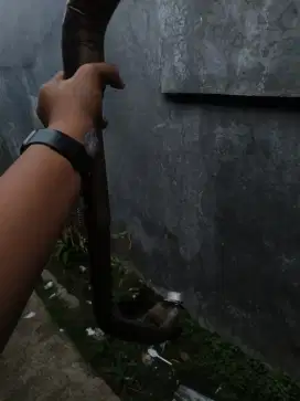 knalpot R6 + leherannya kece abis