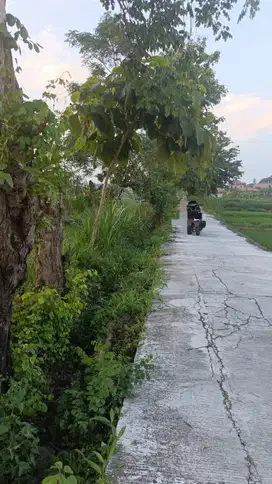 Tanah nyaman dan strategis jalan kaliurang KM 12