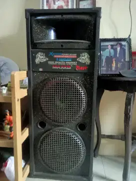 SOUNDSYSTEM  MERK MAXXIS