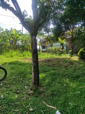 Dijual Tanah Lahan Kosong Di Cikande Rangkasbitung Serang Banten