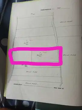 sewakan tanah 45 are di Cargo denpasar dekat sekolah Gandhi