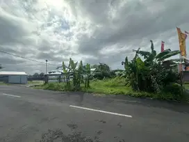 Jual Tanah 13 are di Gadon Bringkit Badung