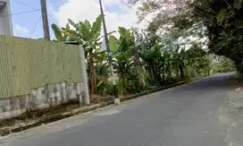 Tanah 1240m sleman jln kaliurang dekat ugm