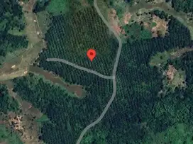 Dijual Cepat! Tanah 167 Ha Cikiruh dekat Tol Panimbang