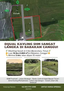 Dijual Kavling 1560 m2 SHM di Babakan Canggu, Dikelilingi Sawah 3 Sisi