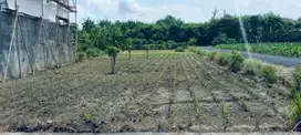 Di Jual murah tanah premium di Padang Galak sanur Denpasar