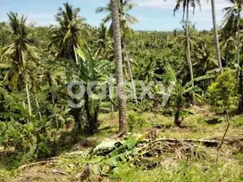 Tanah View Sawah & Sungai 4000 m2 Area Selemadeg, Tabanan