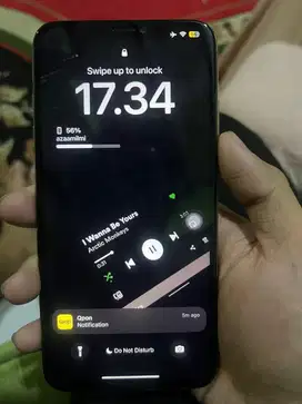 XS MAX 256 INTER