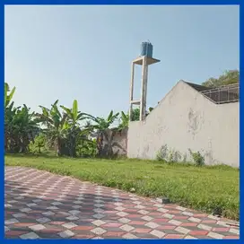 Dijual Tanah Timur Stadion Maguwoharjo 700 Meter Jl Raya Tajem