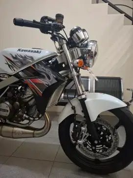 Ninja 2t albino