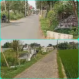 Tanah luas belakang kampus atmajaya cocok perumahan babarsari