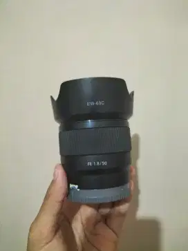 Lensa Fix Sony FE 50mm F1.8 Lancar Jaya