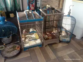 Dijual borongan atau satuan