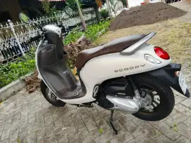 Jual Scoopy 2024