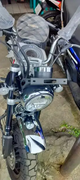 Monkey hitam th 2023 km 347 gress plat jaktim