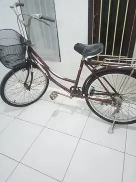 Sepeda Merk Genio 24 inc