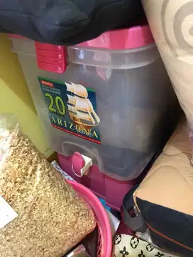 Kompor 1 tungku, dispenser air, tudung saji