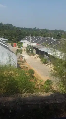 SUPER MURAH 7.5H GUNUNG SINDUR COGREG PERUMAHAN BUKIT SAVANA SERPONG