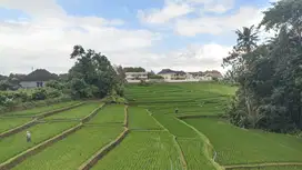 Jual tanah murah di munggu lingkungan villa