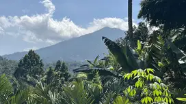 Di jual tanah view gunung dan sawah berada di ketinggian 600 MDPl