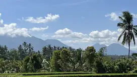 Tanah kebun view sawah , laut dan gunung cocok untuk villa di tabanan