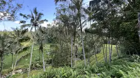 Tanah cocok untuk villa atau hunian dengan view sawah dan sungai