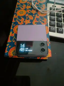 Samsung Z Flip 4