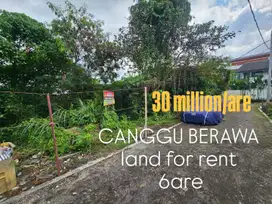 Tanah sewa canggu berawa