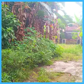 Dijual Tanah 4 Menit Dari Pemda Sleman Jogja Siap AJB Notaris