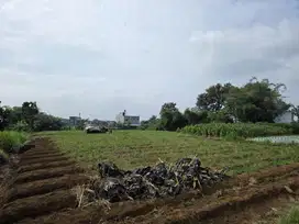 TANAH MURAH COCOK BANGUN RUMAH KOST DEKAT KAMPUS UIN MALANG