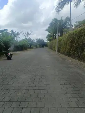 Tanah murah yang terletak di Munggu view waterfall