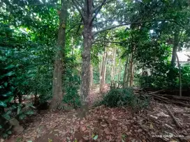 DIJUAL TANAH KEBUN DI KOTA BOGOR