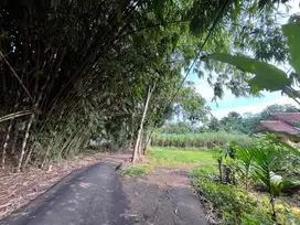 Legalitas SHM: Jual Murah Tanah Area Cisauk - Dekat Pintu Toll Legok