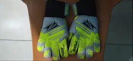 glove pgs pro winner