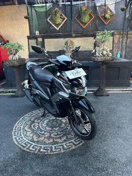 Xeon gt 125 tahun 2014