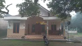 JARANG ADA RUMAH TANAH SUPER LUAS HARGA MURAH DEKAT SATE PAK PONG