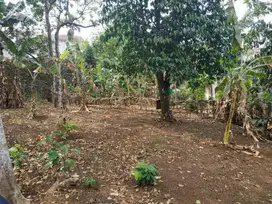 TANAH 1000m2 Tj barat  Jaksel Lok Strategis  Dekat Univ