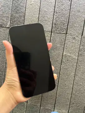 Jual cepat iPhone 13 pro max 256 GB