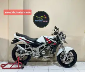 Ninja R 2013 albino