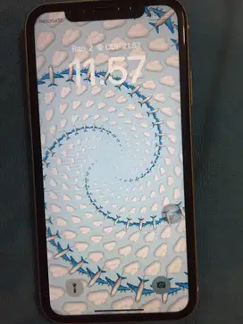 Iphone 11 ex ibox