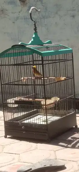 Manyar isian greja buat masteran