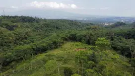 Jual Tanah SHM Murah Udara Sejuk di Ciawi Puncak Bogor
