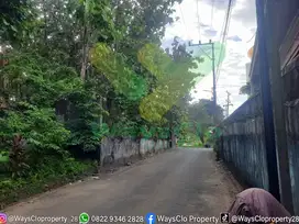DIJUAL CEPAT TANAH CANTIK DAN MENARIK DI KAIRAGI, HARGA SANGAT MURAH