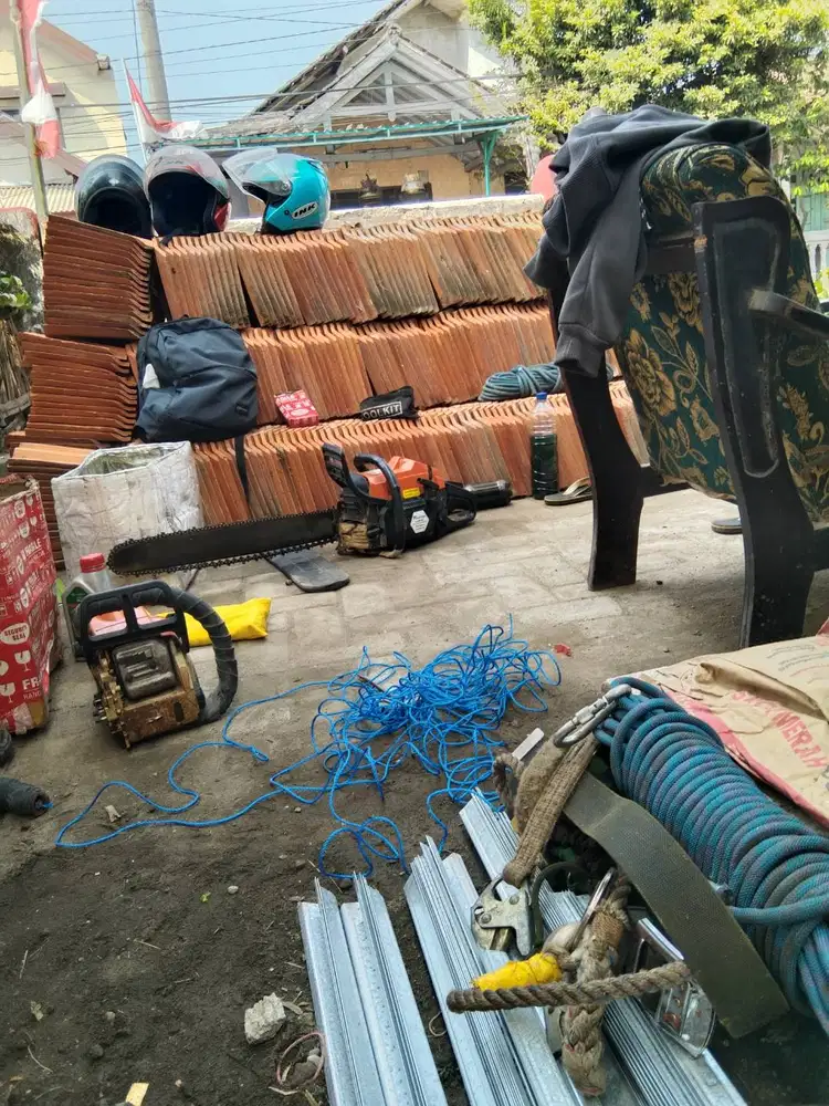 Tebang pohon malang