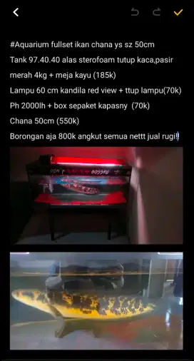Ikan chana yellow sentarum fullset/ikan aja bsa