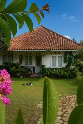 Jual Rumah Villa LUAS nuansa Belanda View Pegunungan Lembang bandung