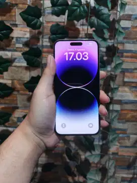 iPhone 14 Pro Max 256GB Gold Ex Resmi iBox Murah