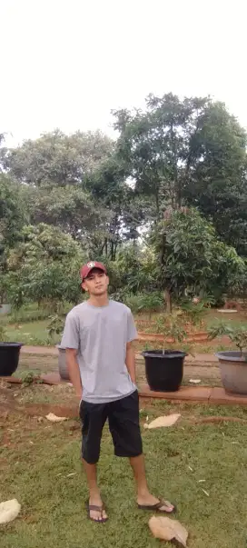 Butuh loker bos