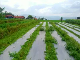 JUAL TANAH VIEW BAGUS AKSES MOBIL DI CIMAUNG BANJARAN